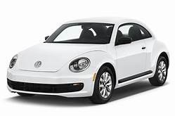 New beetle